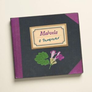 O BENQUERER - MALVELA