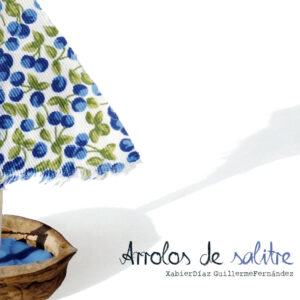 XABIER DÍAZ ARROLOS DE SALITRE